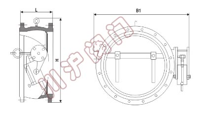蝶式緩沖止回閥結構圖